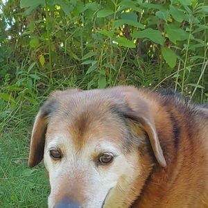 Meet your Posher, Janet